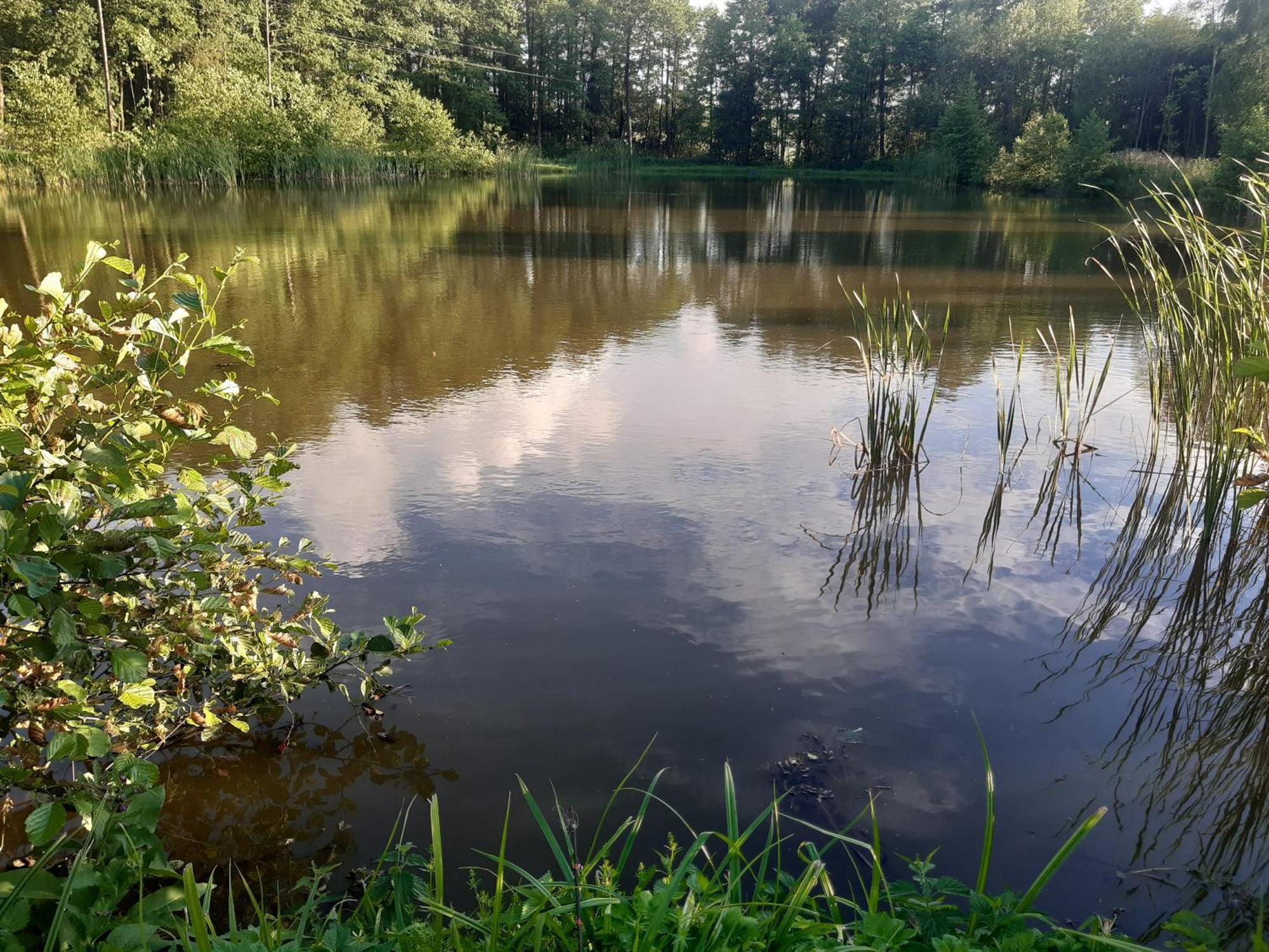 Marcinówka Gołdap Exterior foto